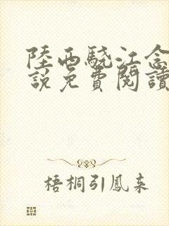 陆西骁江念知小说免费阅读最新章节