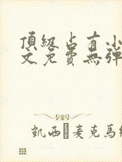 顶级占有小说全文免费无弹窗阅读