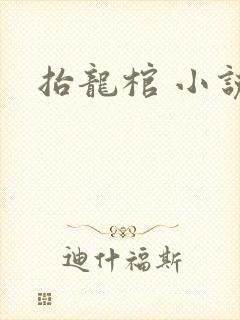 抬龙棺 小说封面