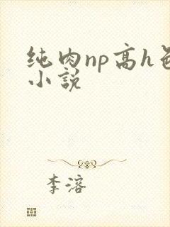 纯肉np高h色小说
