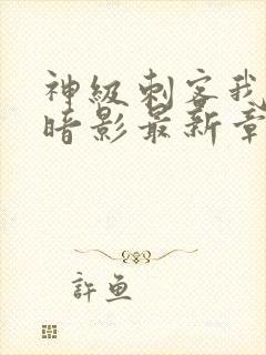 神级刺客我即是暗影最新章节封面