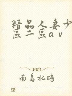 精品人妻少妇一区二区aⅴ