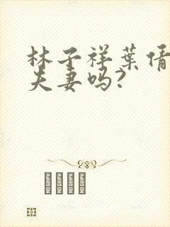 林子祥叶倩文是夫妻吗?