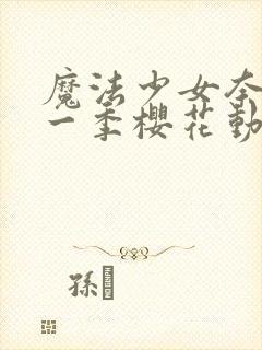 魔法少女奈叶第一季樱花动漫