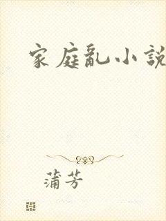 家庭乱小说封面