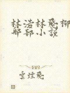 林浩林飞柳沁是哪部小说