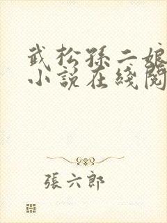 武松孙二娘云雨小说在线阅读封面