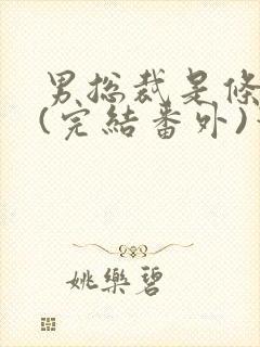 男总裁是条骚狗(完结番外)笔趣阁小说