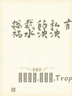 总裁的私有宝贝祸水泱泱