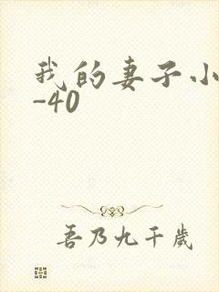 我的妻子小谨1-40