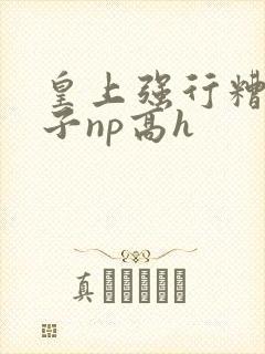 皇上强行糟蹋太子np高h