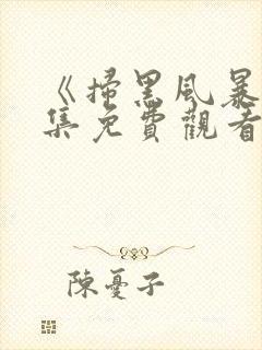 《扫黑风暴》全集免费观看