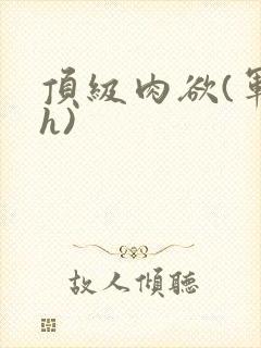 顶级肉欲(军高h)