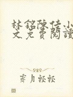 林铭陈佳小说全文免费阅读最新章节封面