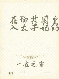 在御花园皇上进入太子妃的小说