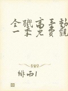 全职高手动漫第一季免费观看完整版