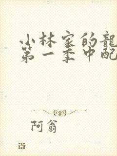 小林家的龙女仆第一季中配版封面