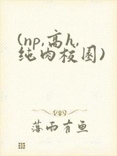 (np,高h,纯肉校园)