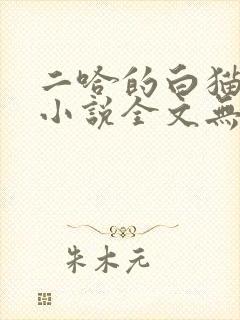 二哈的白猫师尊小说全文无删减版免费封面