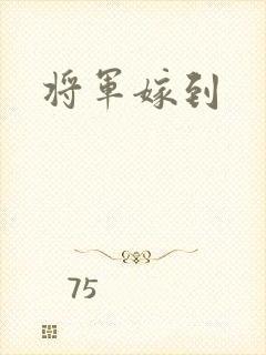 将军嫁到
