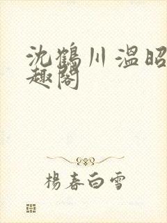 沈鹤川温昭宁笔趣阁