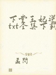 下堂王妃逆袭记txt全集下载