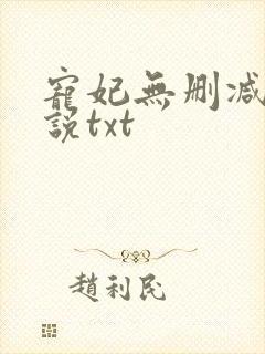 宠妃无删减版小说txt封面