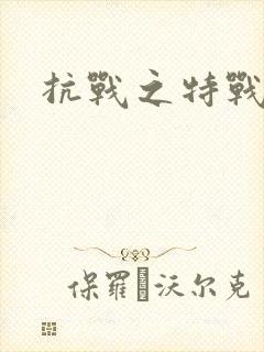 抗战之特战军魂封面