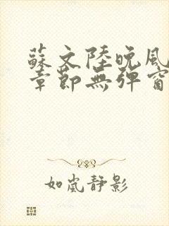 苏文陆晚风最新章节无弹窗笔趣阁