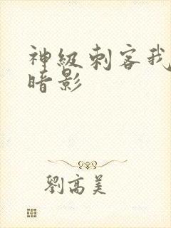 神级刺客我即是暗影