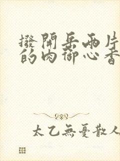 拨开岳两片肥嫩的肉御心香帅