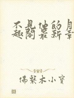 不见他的月光笔趣阁最新章节封面