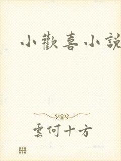 小欢喜小说