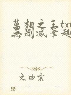万相之王txt无删减笔趣阁