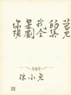 你是我的荣耀电视剧全集免费