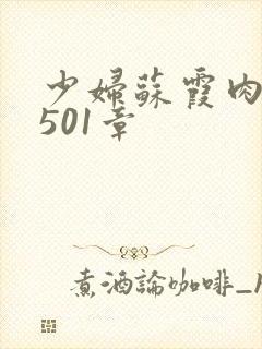 少妇苏霞肉欲第501章