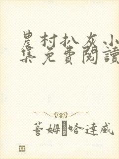 农村扒灰小说全集免费阅读封面