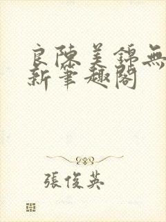 良陈美锦无删减新笔趣阁