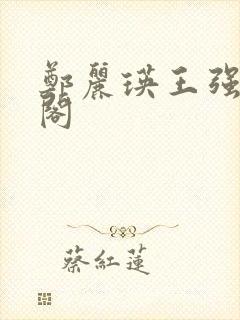 郑丽瑛王强笔趣阁