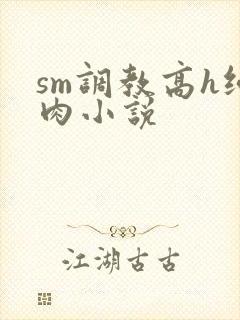 sm调教高h纯肉小说