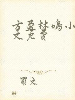 方盈林鸣小说全文免费