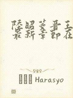 陆昭菱晋王小说最新章节在线阅读