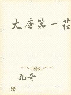 大唐第一庄封面