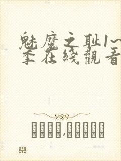 魅魔之耻1~4季在线观看封面