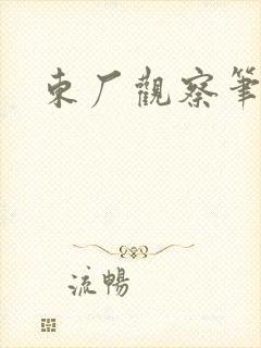 东厂观察笔记封面