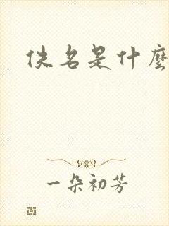 佚名是什么意思封面