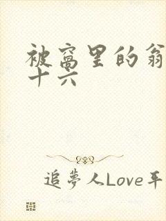 被窝里的翁憩二十六封面