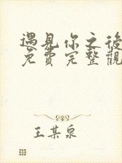 遇见你之后短剧免费完整观看高清封面