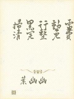 扫黑行动电影高清完整免费观看