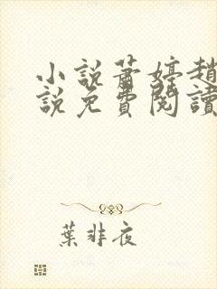 小说萧婷赵雷小说免费阅读